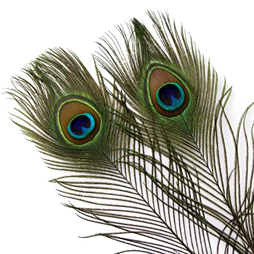 Natural Peacock Feathers 35-40 Inch Bulk 24pcs for Wedding & Craft Decor - Variation of 35-40Inch-24pcs