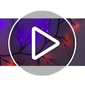 9 Ft Halloween Willow Vine Garland with Orange & Purple LED Lights - Set 1, Black Decor, Timer & 8 Modes