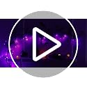 9 FT Halloween Willow Vine Garland with Bats Purple Lights - Timer & 8 Modes - Indoor Outdoor Decor