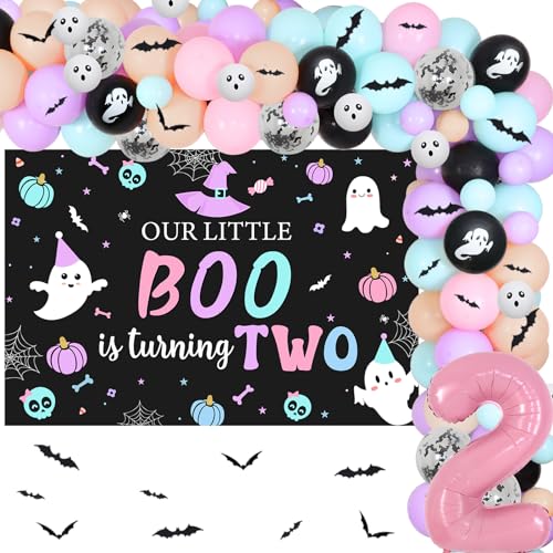 2nd Birthday Decorations for Girl Halloween Balloon Garland Backdrop Bat Stickers