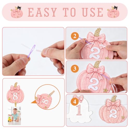 Pink Pumpkin Ghost First Birthday Photo Banner - Variation of THIS Listing