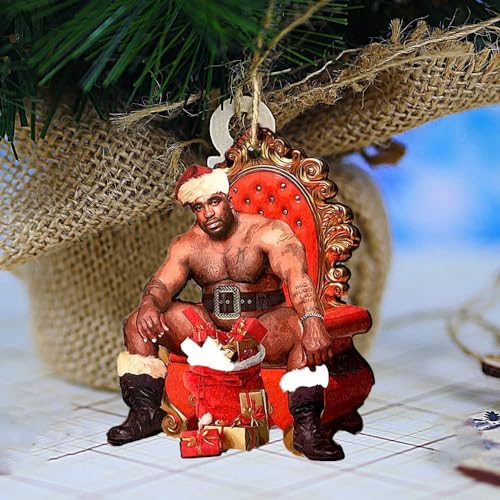 Funny Christmas Ornaments 2025 Wooden Holiday Tree Decorations Indoor & Outdoor