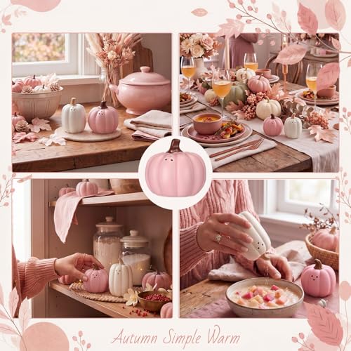 Pink White Pumpkin Salt and Pepper Shaker Set - Fall Halloween Kitchen Decor - Variation of Pink & White