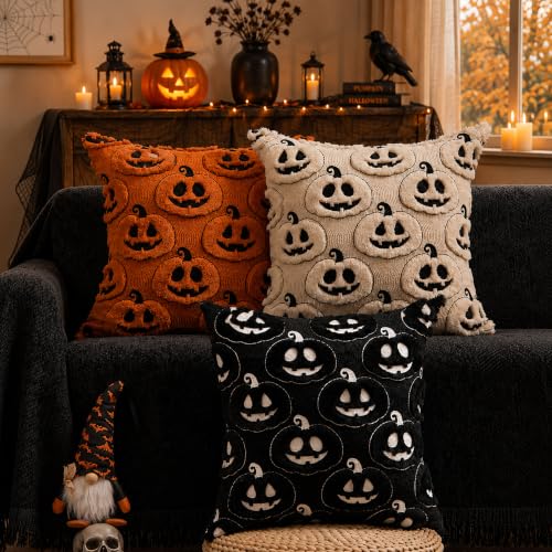 Halloween Pumpkin Pillow Covers 18x18 Set of 2 Black White Decor Variation of Blackwhite Pumpkins