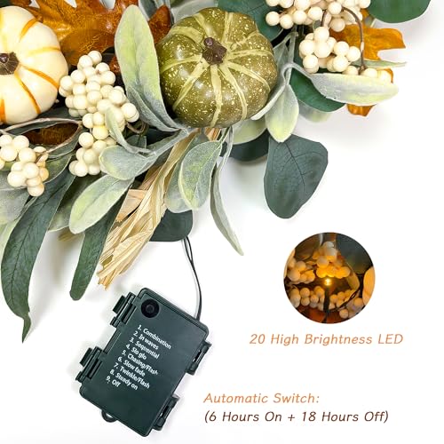 20-Inch Fall Wreath with Lights - Eucalyptus Pumpkins Autumn Decor