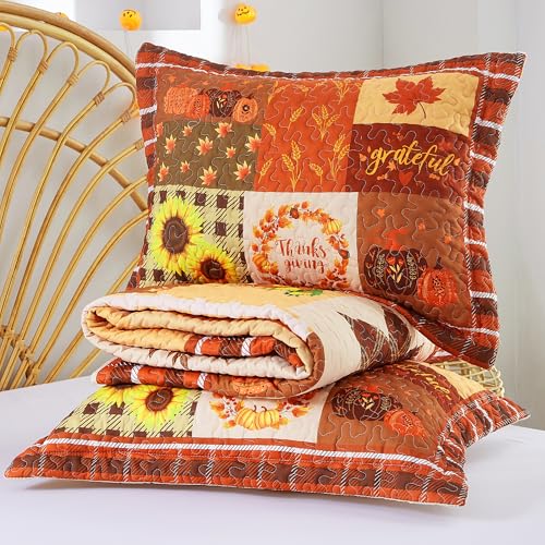EVENHUG Fall Quilt Queen Size Bedding Set with Pillow Shams - Orange Brown Floral Pumpkin Design, 3 Pieces