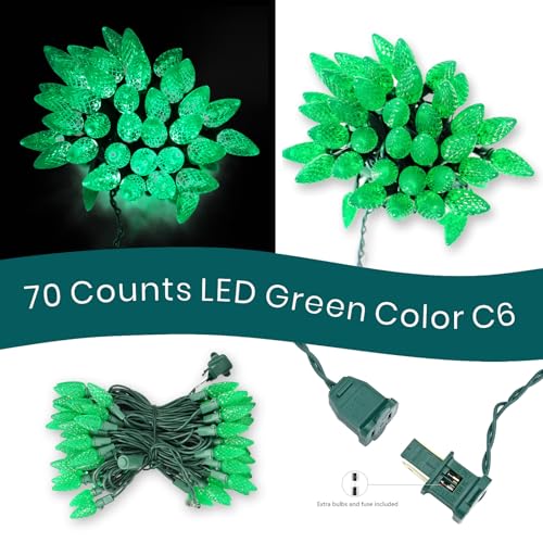 Green C6 LED Christmas Lights Outdoor - Festia 70 Bulb String, Waterproof & Connectable - St. Patrick's Day Decoration