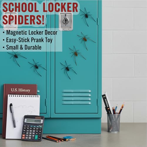 3D Spider Fridge Magnet Set - Realistic Cute Removable Magnetic Decals, Black, 4 Pack – Spider Variation