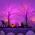 Halloween Spooky Black Tabletop Tree Set - 24 Inch LED Indoor Decor with Timer & USB/Battery - Style 2