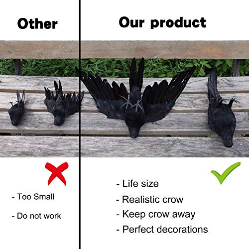 Realistic Black Feathered Crow Decor - Lifesize Halloween Props - 13in & 12in - L Variation