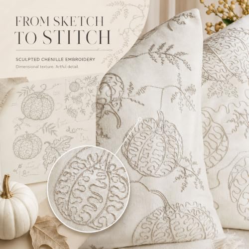 Zealax 20x20 Inch Fall Pumpkin Embroidered Pillow Covers - Beige, Pack of 2