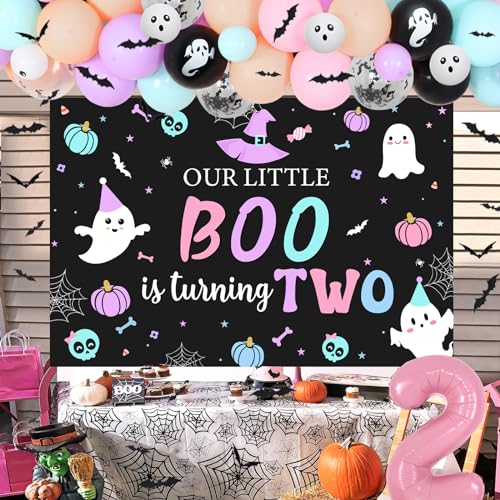2nd Birthday Decorations for Girl Halloween Balloon Garland Backdrop Bat Stickers