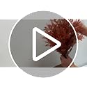 Fall Cedar Topiary Trees - Artificial Autumn Decor with Spike - 2 Pack