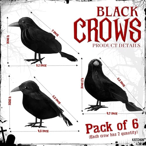 Halloween Creepy Cloth and Crows Set - Black, Pack of 7 - Spooky Decor