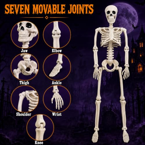 3Ft Halloween Skeleton Decorations Outdoor - Life Size Posable Skeletons Bone White 2 Pack