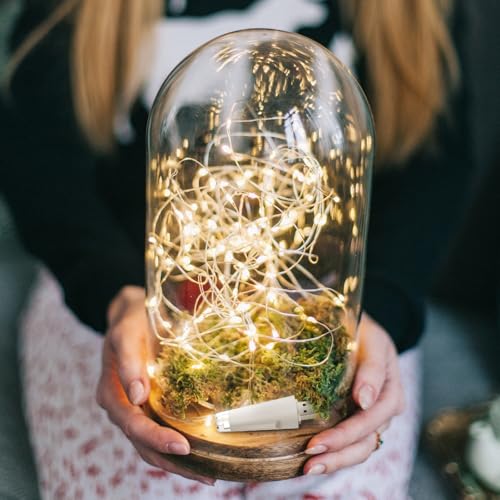 Fairy Lights USB Rechargeable Battery Operated 7ft 20 LED String Lights - Warm, 8 Pack Indoor & Outdoor Decor