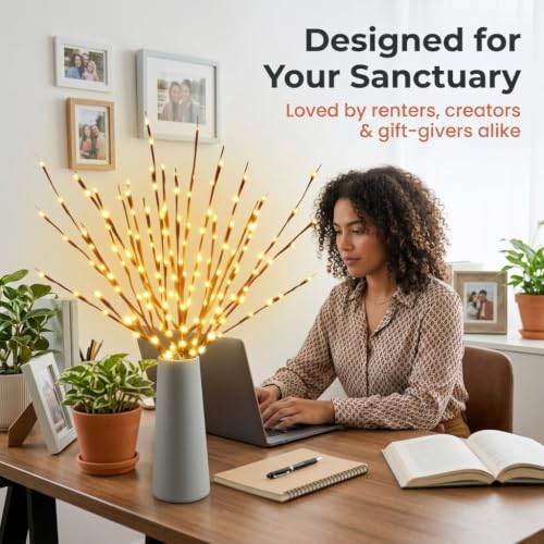 LED Branch Lights Battery Operated 30 Inch 20 Warm White Bulbs - 10 Pack, Flexible Willow Tree Filler
