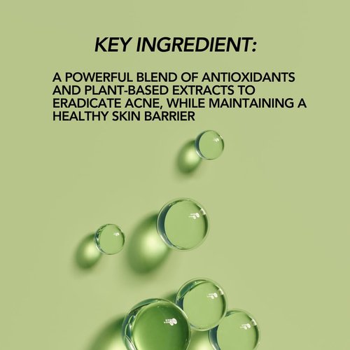 Vegan Luxe Esthetics Skincare I Detoxifying Gel Cleanser I Face Cleanser for Oily + Combination Skin Types I Controls Acne, Oil and Reduces the appearance of Pores.