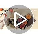 Fall Thanksgiving Honeycomb Ornament Set - 5Pcs Autumn Decor with Orange & Brown Variations