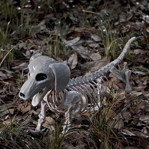 24-Inch Posable Dog Skeleton Halloween Decoration - Indoor Outdoor Spooky Prop