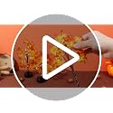 Set of 6 Lighted Maple Tree Decorations for Fall & Thanksgiving Indoor Outdoor Decor