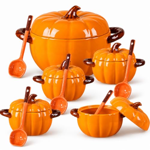 Ceramic Pumpkin Bowls Set of 5 Soup & Dessert Serving Dishes with Lids & Spoons