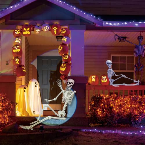 Life Size Halloween Skeleton with Movable Joints - 5.4ft & 3ft Spooky Decor Set