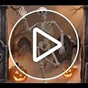 3Ft Halloween Skeleton Decorations Outdoor - Life Size Posable Skeletons Bone White 2 Pack