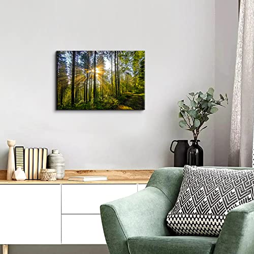 Green Forest Sunrise Wall Art Canvas - 24x16 Inch Tropical Landscape for Living Room & Bedroom