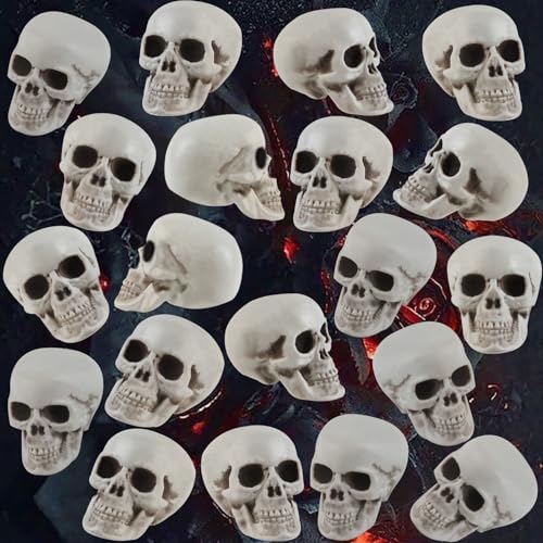 20 Pcs Halloween Skull Decorations Realistic Skeleton Heads for Haunted Parties & Spooky Home Decor - Variation of THIS listing