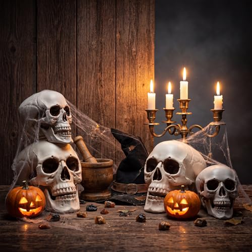 Halloween Human Skull Decor Set - Realistic Plastic Skeleton Models 8 Inch & 5.1 Inch - 4 Pieces