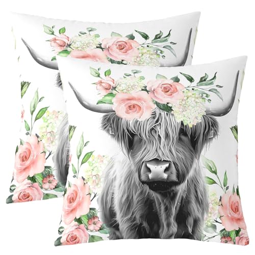 Feelyou Highland Cow Throw Pillow Covers Pack of 2 - 20x20 Inches, Multi