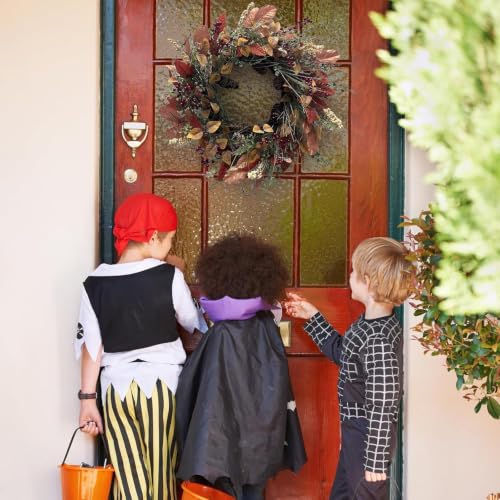 Fall Wreath for Front Door 24 Inch Artificial Red Broad Leaves Burgundy Berry