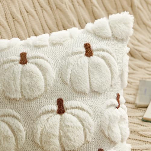 Fall Pumpkin Pillow Covers Set - Cream White with 3D Embroidered Pumpkins, 16x16 Inches, Pack of 2