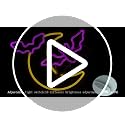 Halloween Neon Sign Moon Bat Flying Neon LED Light Halloween Decorations - Moon Bat Variation