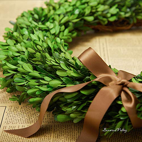 16 Inch Preserved Boxwood Wreath - Indoor Home Decor for Christmas & All Seasons - Green