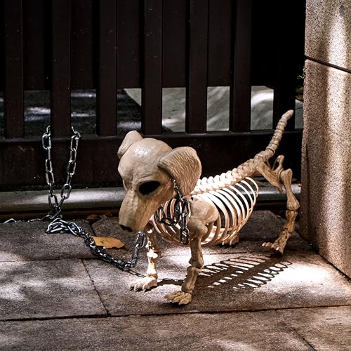 24-Inch Posable Dog Skeleton Halloween Decoration - Indoor Outdoor Spooky Prop