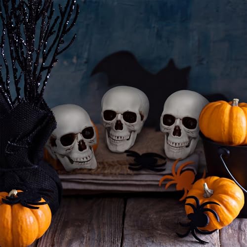 Halloween Human Skull Model - 8.7 Inch Fake Skull Decor Set of 4 - Realistic Plastic Skeletons for Spooky Parties