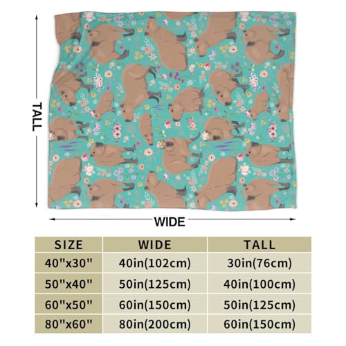 Capybara Plush Blanket 60x50 Inches for Capybara Lovers - Gift for Kids and Adults - Variation of Capybara 2