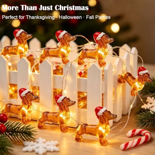 Dachshund Christmas String Lights 10ft 30 LEDs - Red White Brown Variations