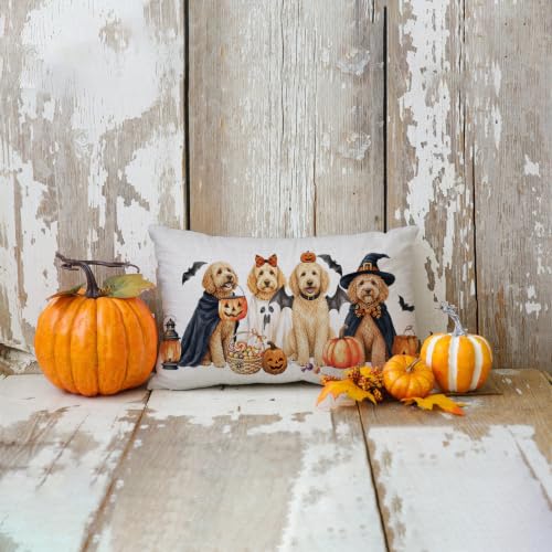 Halloween Pillow Cover 12x20 Ghost Witch Golden Poodle Variation Decorative Throw Pillowcase