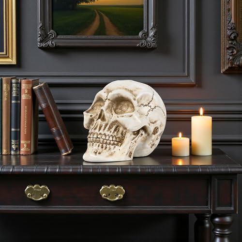 White Resin Skull Statue for Home Decor Gothic Halloween Ornament