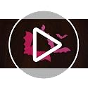 Halloween Pink Black Banners & 3D Bat Stickers Set for Indoor Wall Decor - Halloween Party Decorations - Variation of THIS listing