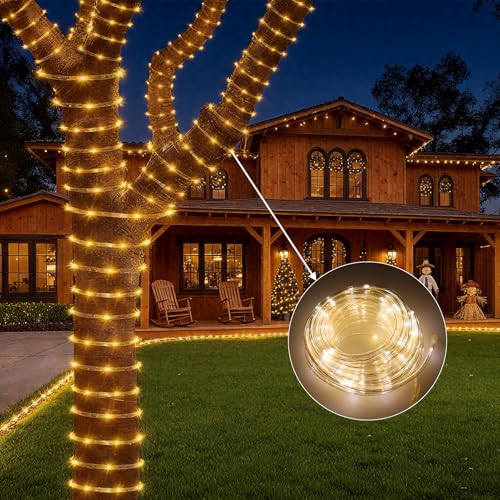 Blue 2x50ft LED Rope Light with Remote & 8 Modes - Outdoor Twinkle Decor