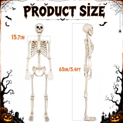Life-Size Halloween Skeleton Decorations Outdoor - 5.4FT Posable Skeleton