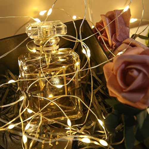 Battery Operated Fairy Lights 16ft Warm White Copper Wire String Lights for Christmas, Weddings, Party, Indoor Decor