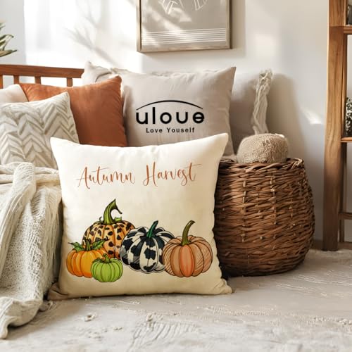 Coffee 2-Pack Fall Pumpkin Truck Throw Pillow Covers 18x18 Inches Farmhouse Decor