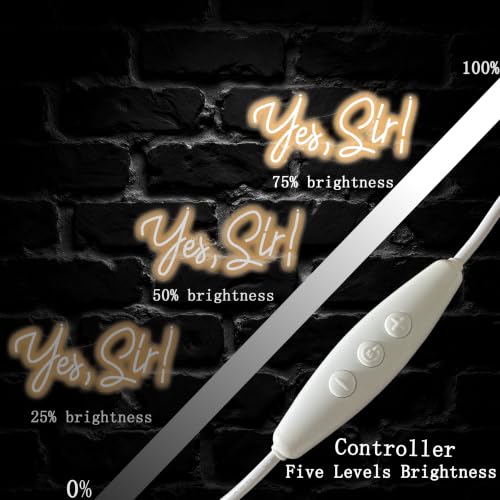 Yes Sir Neon Sign Motivational Quote LED Wall Decor - Warm White, 17.5 x 7.8 Inches - Variation: Yes Sir Warm White