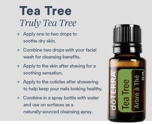 doTERRA Melaleuca Essential Oil - 15 ml | Therapeutic Grade, 2 Pack for Natural Wellness