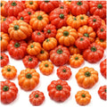 Mini Resin Pumpkins for DIY Crafts & Fall Decor - 80 Pieces, Variation of Pumpkin